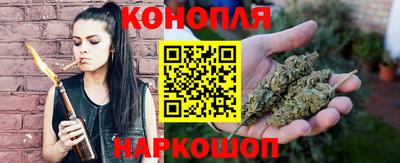 jwh Бердск